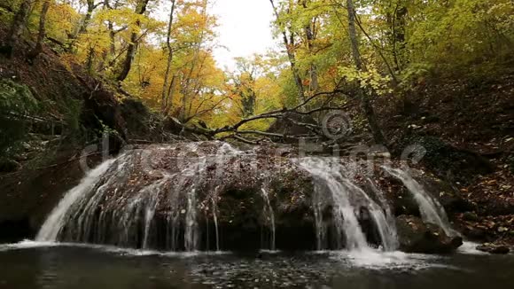 景观秋景森林里的山河上美丽的瀑布视频的预览图