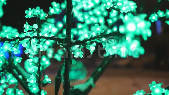 圣诞假期概念照明的形式樱花花在城市公园视频的预览图