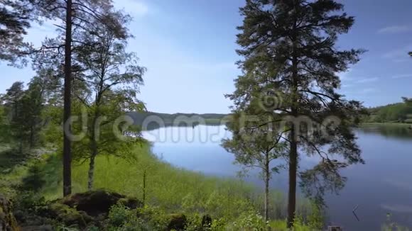 美丽的天空在湖面的镜子上反射着绚丽的景色两种大小的绿林树与湖面接壤视频的预览图