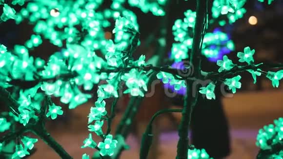 圣诞假期概念照明的形式樱花花在城市公园视频的预览图