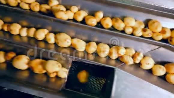 马铃薯块被自动分类视频的预览图