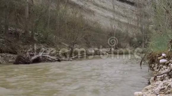 飓风暴雨后河水泛滥视频的预览图