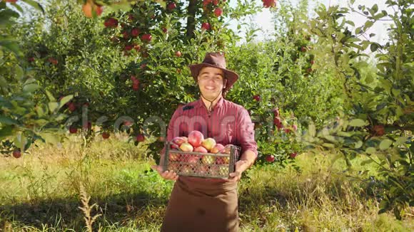 跳舞的农夫在苹果园里拿着一盒苹果视频的预览图