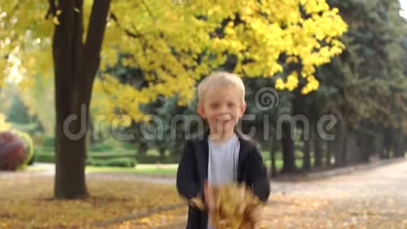 快乐的小男孩在秋天公园里扔黄叶慢动作视频的预览图