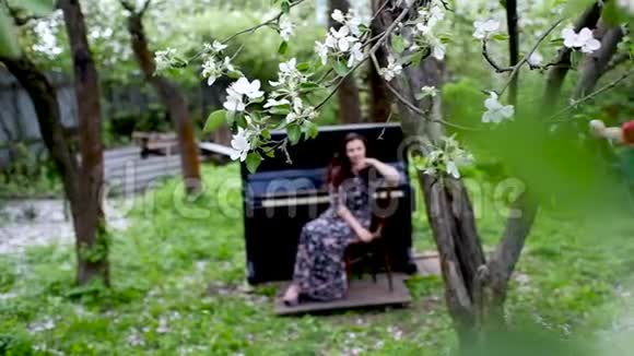 失神的女孩坐在盛开的花园里钢琴旁的椅子上盛开的苹果树的小树枝紧紧地视频的预览图