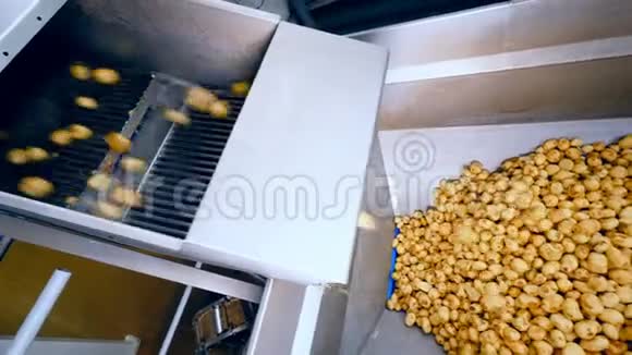 一堆加工过的土豆块越来越大视频的预览图