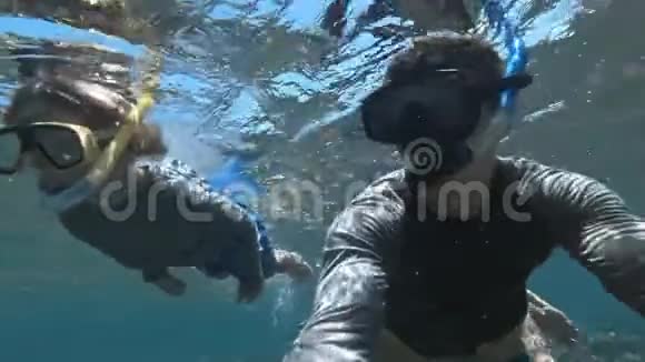 与父亲一起在清澈湛蓝的海水中带着鱼潜泳的孩子视频的预览图