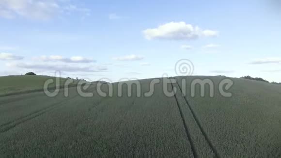 无人机观飞翔展现美丽的麦田和乡村视频的预览图