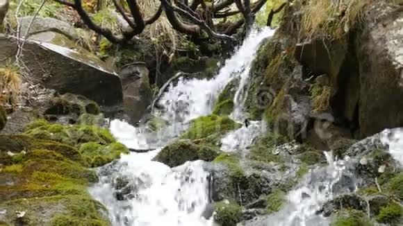 喀尔巴阡山青苔石奇妙的山瀑瀑布瀑布落在巨大的灰色岩石附近视频的预览图
