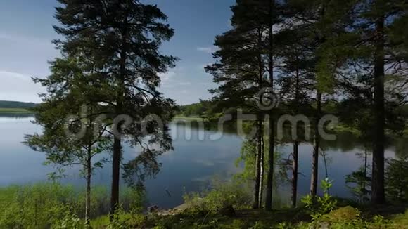美丽的天空在湖面的镜子上反射着绚丽的景色两种大小的绿林树与湖面接壤视频的预览图