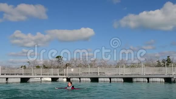 女人和海豚一起跳出水面和海豚一起游泳视频的预览图