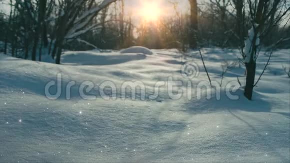 雪和太阳的童话视频的预览图