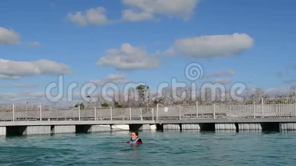 女人和海豚一起跳出水面和海豚一起游泳视频的预览图