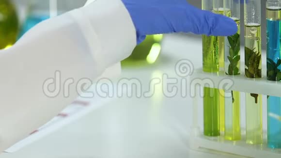 实验室助理用植物美容管滴浓缩油液视频的预览图