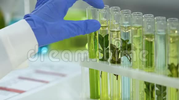 实验室工作人员在试管中标记植物样品天然精华视频的预览图