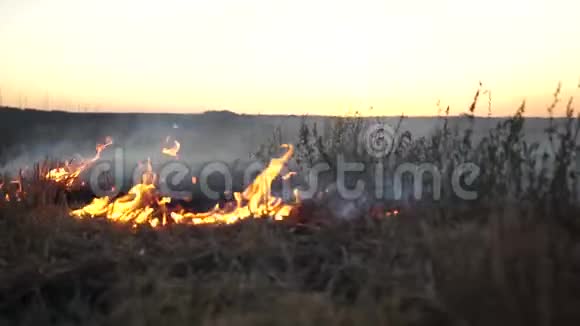 在秋天的田野特写中燃烧干草视频的预览图