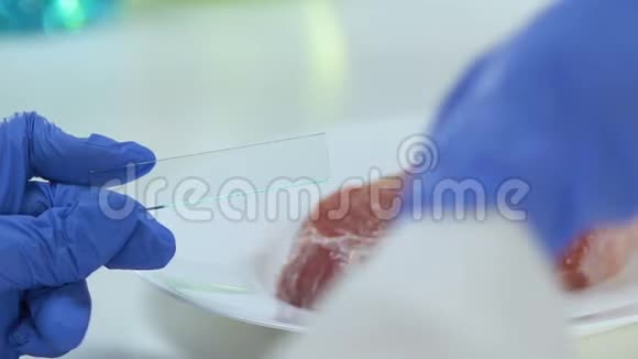 科学家把液体滴在玻璃上肉片放在背景上细菌学视频的预览图