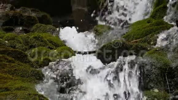 水流在石头间流动清澈的水很快就从山下流下来围绕着黑湿的石头里面有苔藓视频的预览图