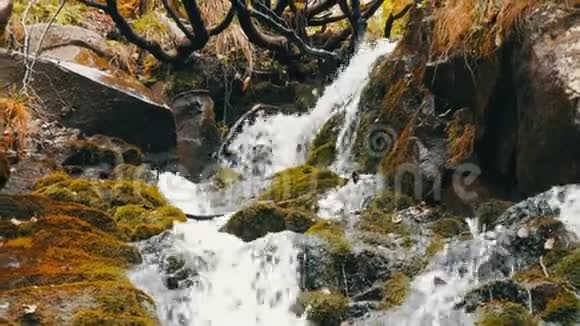 水流在石头间流动清澈的水很快就从山下流下来围绕着黑湿的石头里面有苔藓视频的预览图