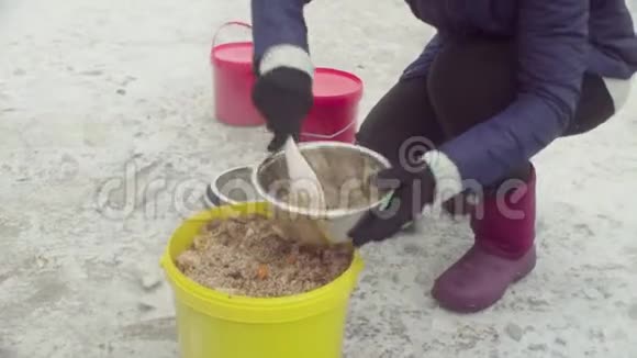 志愿者把食物放在狗狗窝里视频的预览图