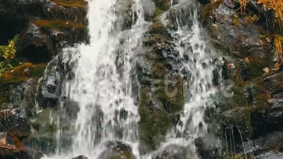 喀尔巴阡山青苔石奇妙的山瀑瀑布瀑布落在巨大的灰色岩石附近视频的预览图