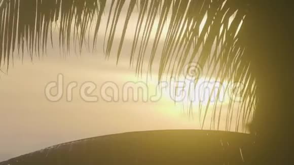 岛上美丽的橙色日出上棕榈叶剪影视频的预览图