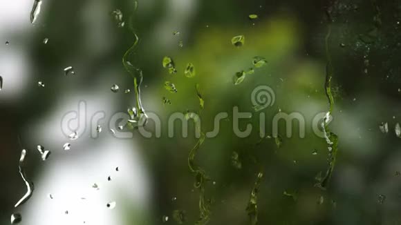 水滴和树叶视频的预览图