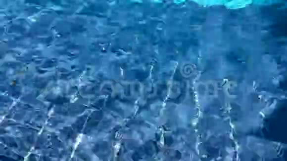 在蓝色瓷砖游泳池里的水波浪清澈视频的预览图