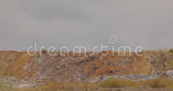 灰蒙蒙的天空背景下一个垃圾填埋场里有飞鸟鸟的压抑式垃圾场视频的预览图