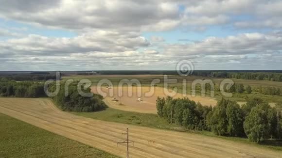 上景现代收割机把成熟的小麦收割到田间视频的预览图