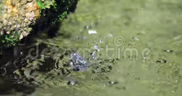 在一个小小的绿色喷泉中溅起水滴视频的预览图