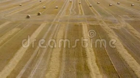 在做干草的时候飞过田野圆形干草堆散落在田野上以不同的速度射击视频的预览图