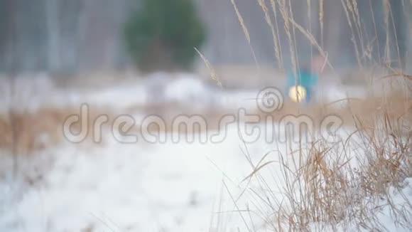 冬季森林两个人骑着雪车前景上的一种冷冻药草视频的预览图