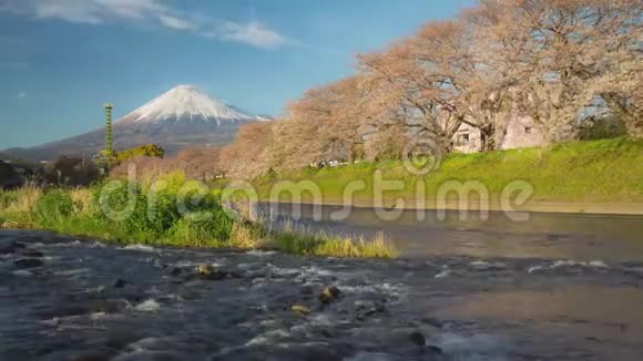 富士山及樱花时间流逝视频的预览图