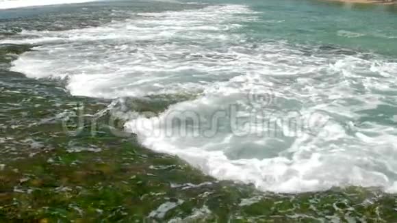 汹涌的海浪流过模糊的珊瑚礁和海藻视频的预览图