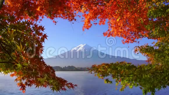 日本川川子湖秋枫山富士山视频的预览图