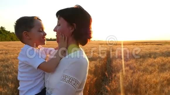 一个快乐的母亲抱着一个孩子在日落背景下的麦田里孩子亲吻母亲视频的预览图