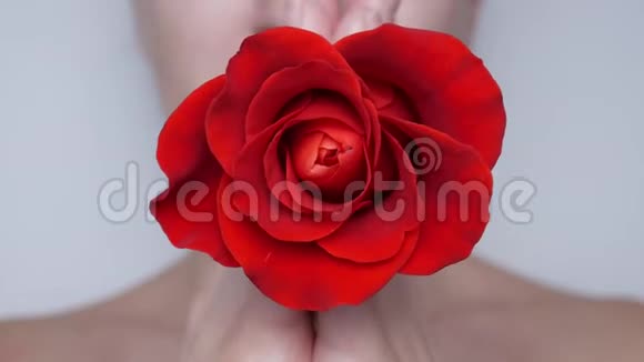 红玫瑰在图像的中心映衬着一个模糊的白人女孩的脸视频的预览图