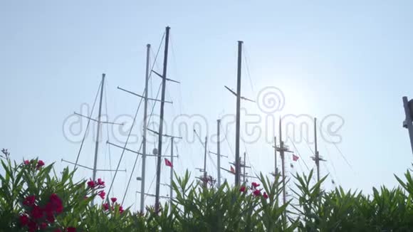 游艇桅杆马尔马里斯土耳其2019年6月视频的预览图