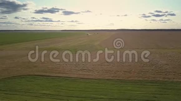 上景收割机开着车收割成熟的小麦视频的预览图