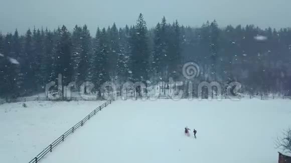 冬天年轻的新婚夫妇在大雪纷飞的冬季里奔跑嬉戏手牵手朝冷杉或视频的预览图