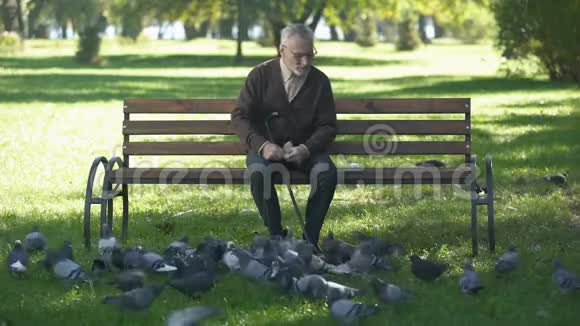 微笑老人在公园放松和喂鸽子快乐退休视频的预览图