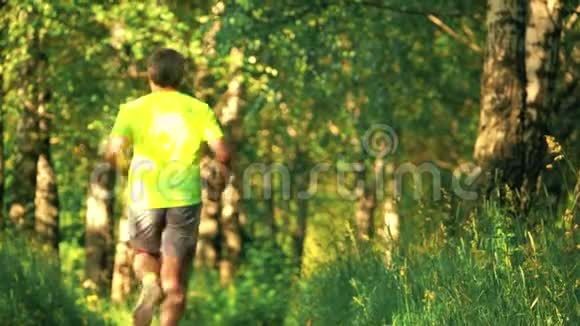 跑在森林里的跑马男子视频的预览图