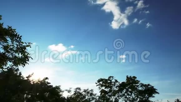 日落时的蓝天漂浮的云彩和阳光透过绿色的树叶和飞行的飞机视频的预览图