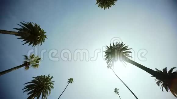 在贝弗利大道的棕榈树上行驶蓝天和阳光直射比佛利山视频的预览图