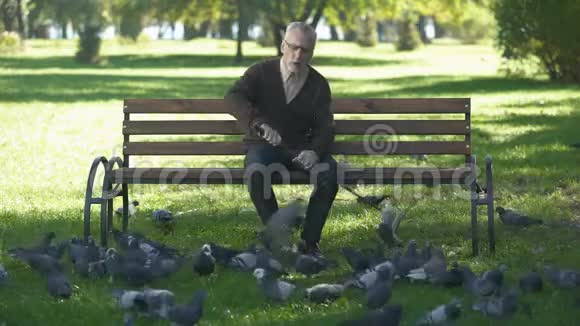 老人生气地在公园里驱赶鸽子孤独和退休视频的预览图