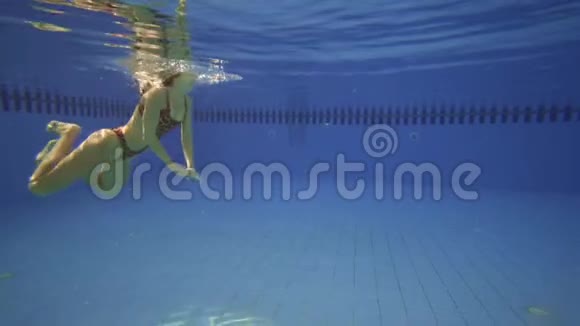 布鲁内特女士在水下慢动作游泳视频的预览图