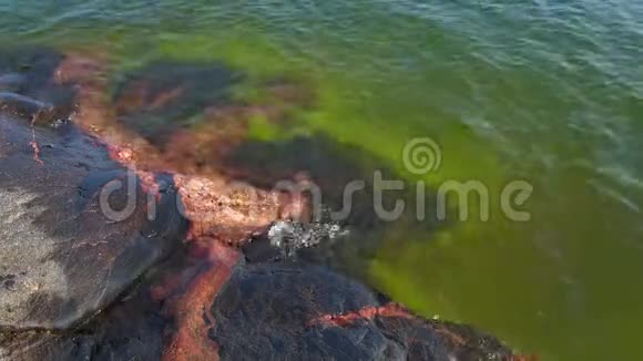 水在岩石海岸阳光明媚的夏日芬兰汉口视频的预览图