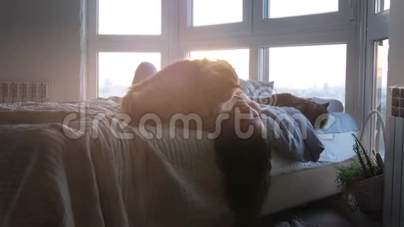 美丽浪漫的黑发女人躺在窗边的床上在美丽的夕阳下抱着她可爱的猫视频的预览图