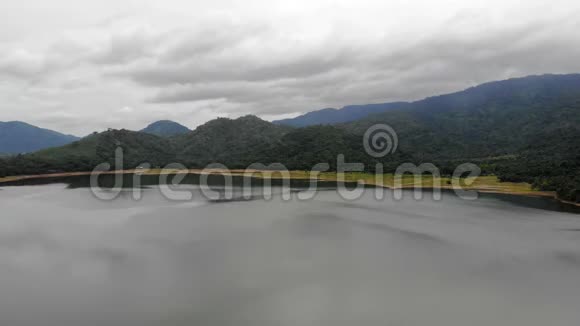 无人机拍摄大江大林景观及自然木景视频的预览图